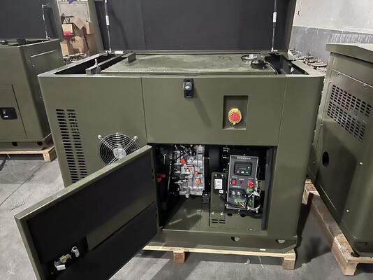 Générateur de courant continu de 48 V alimenté par moteur diesel 200A 250A 300A de 12 kW pour la recharge de batteries solaires