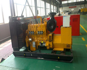 250kw Electric Powered Natural Gas Generator Genset 40kw Electronic Air / Gas mixer