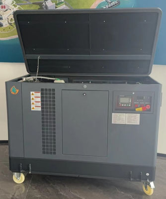 EPA Certified 15kw 20kva 20kw 25kva Gas Genset LPG Gasoline Engine Propane Dual fuel Power Generator