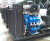 Générateur refroidi à l'eau 40kw de gaz naturel à 800kw avec l'alternateur de Stamford